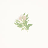 Schumacher Margie Floral Gris Wallpaper