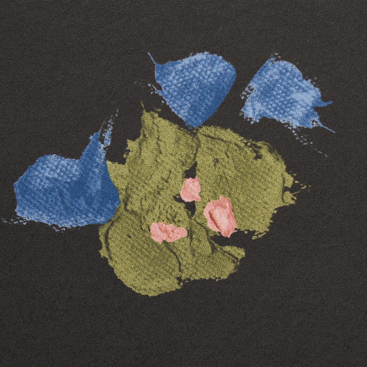 Schumacher Backdrop X Schumacher Fairfarren Dark Multi Wallpaper