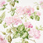Schumacher Summer Hydrangea Blush Fabric