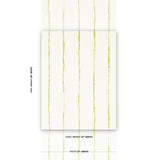 Schumacher Backdrop X Schumacher Ephemera Chartreuse Wallpaper
