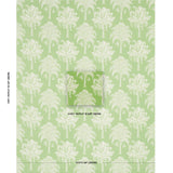 Schumacher Grand Palms Indoor/Outdoor Green Fabric