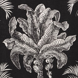 Schumacher Grand Palms Indoor/Outdoor Black Fabric