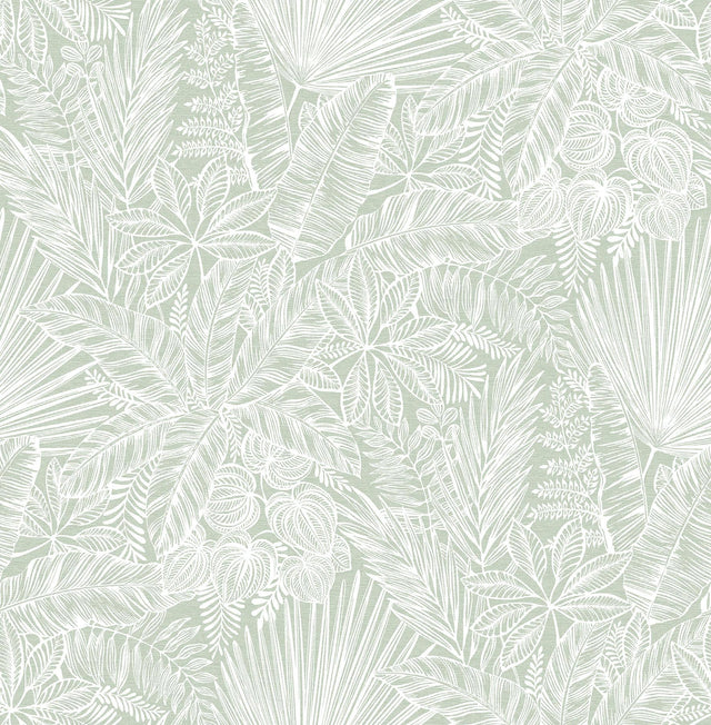 A-Street Prints Vita Sage Botanical Wallpaper