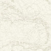 Brewster Home Fashions Charts Taupe Nautical Chart Wallpaper