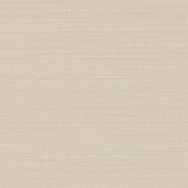 Brewster Home Fashions Spinnaker Neutral Netting Wallpaper