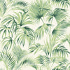 Brewster Home Fashions Manaus Green Palm Frond Wallpaper