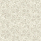 Brewster Home Fashions Sea Biscuit Beige Sand Dollar Wallpaper