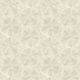Brewster Home Fashions Sea Biscuit Beige Sand Dollar Wallpaper