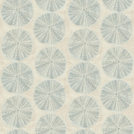Brewster Home Fashions Sea Biscuit Aqua Sand Dollar Wallpaper