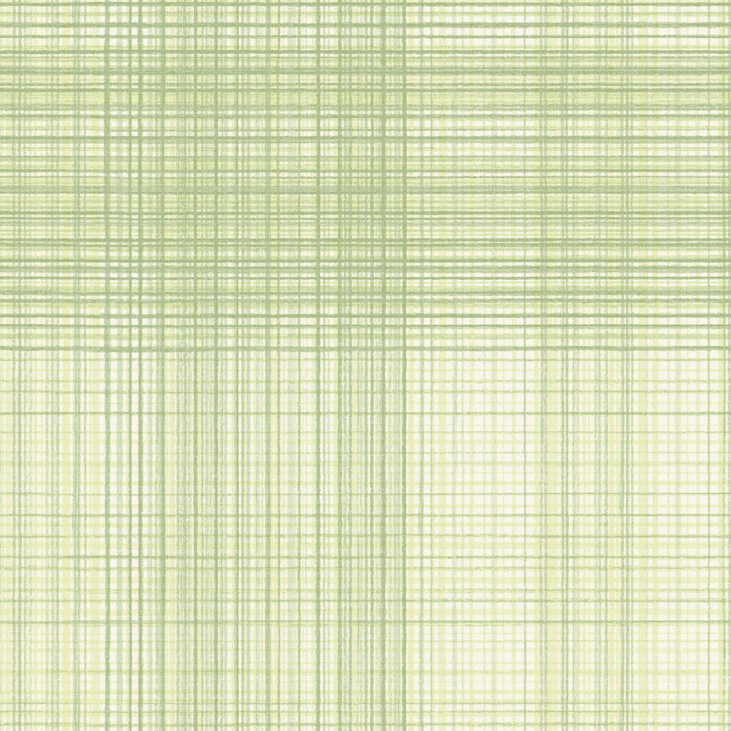 Brewster Home Fashions Madras Green Plaid Wallpaper