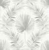 A-Street Prints Calla Grey Painted Palm Wallpaper