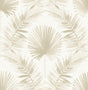 A-Street Prints Calla Taupe Painted Palm Wallpaper