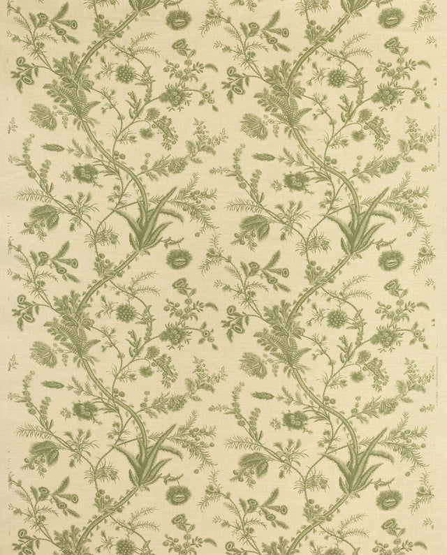 Lee Jofa PLUMES GREEN Fabric