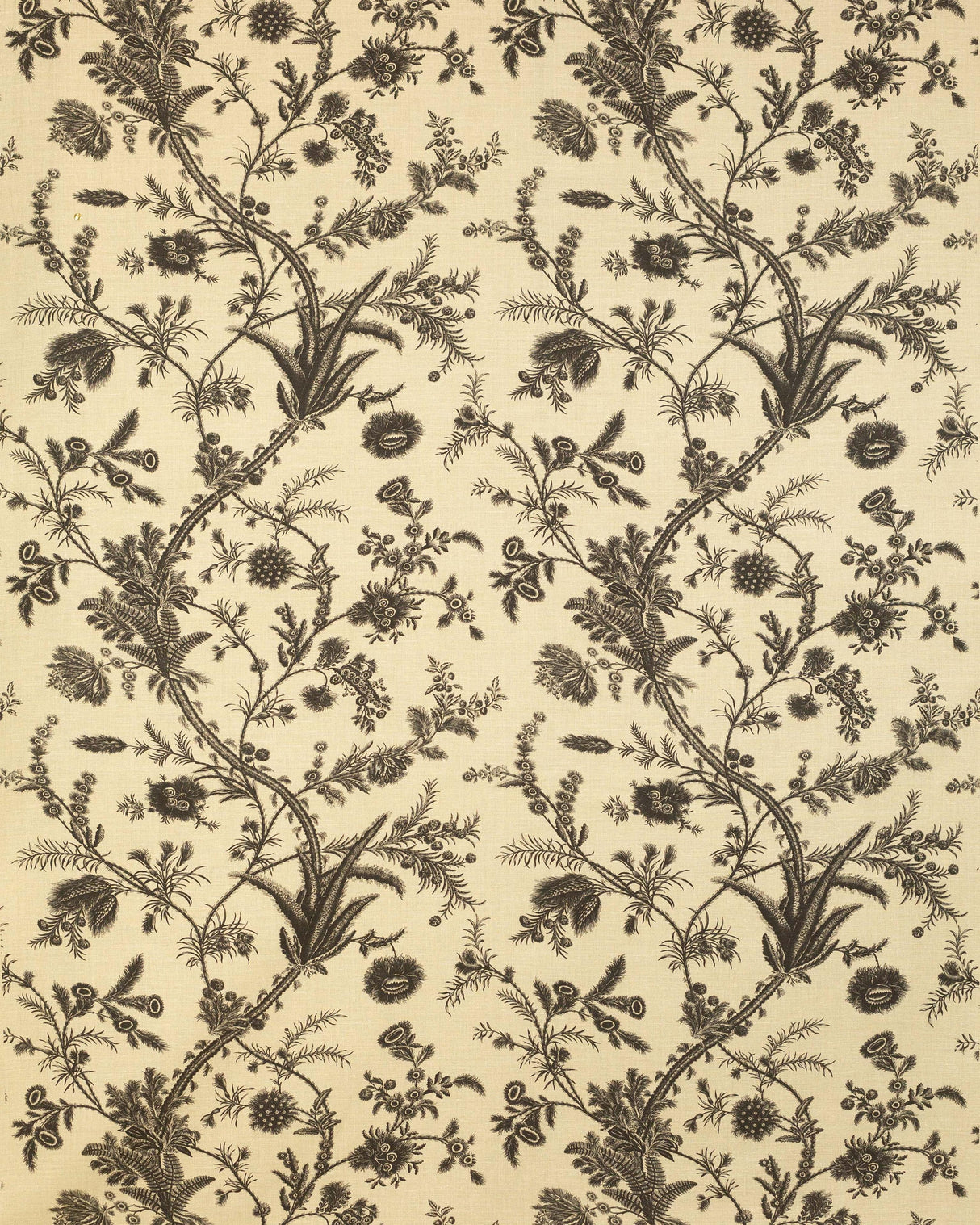 Lee Jofa PLUMES BLACK Fabric