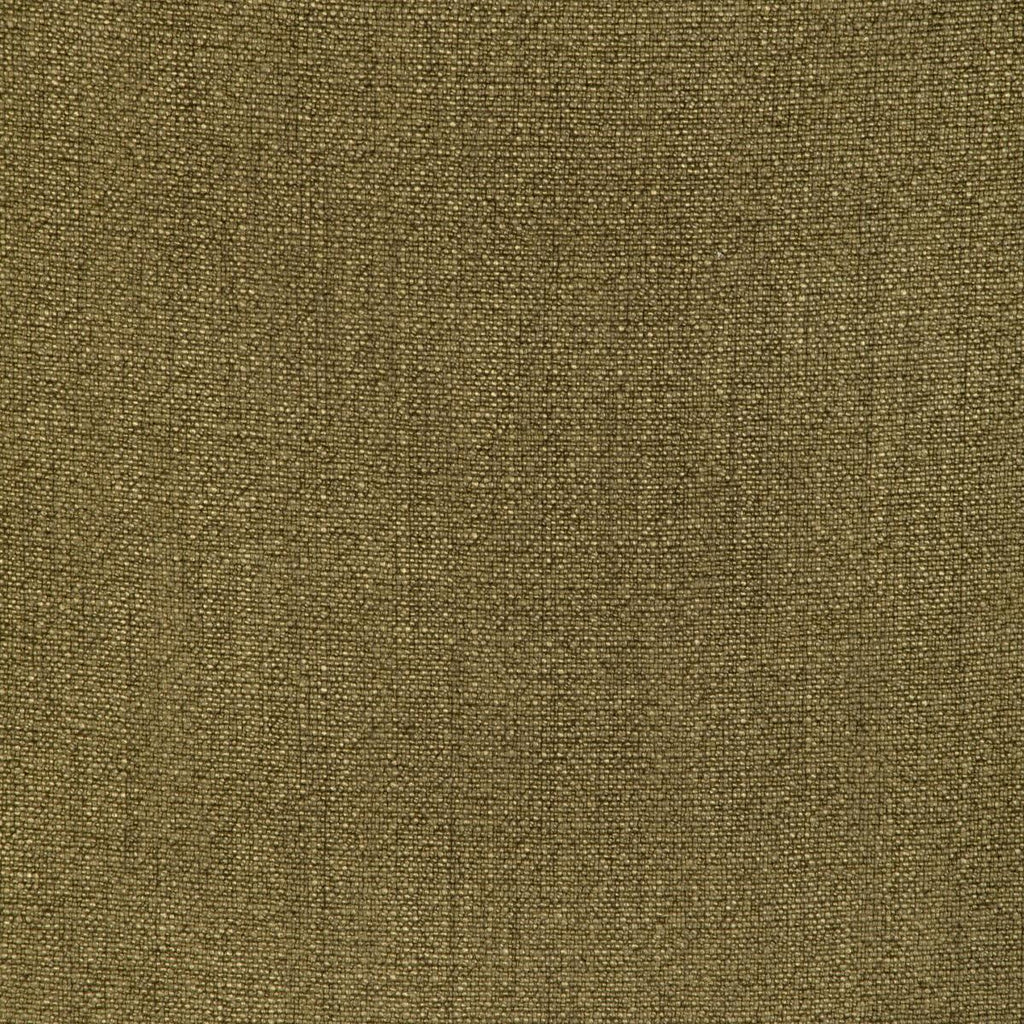 Kravet KRAVET BASICS 35189-314 Fabric