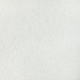 Kravet TWINKLE TWINKLE GLITTER Fabric