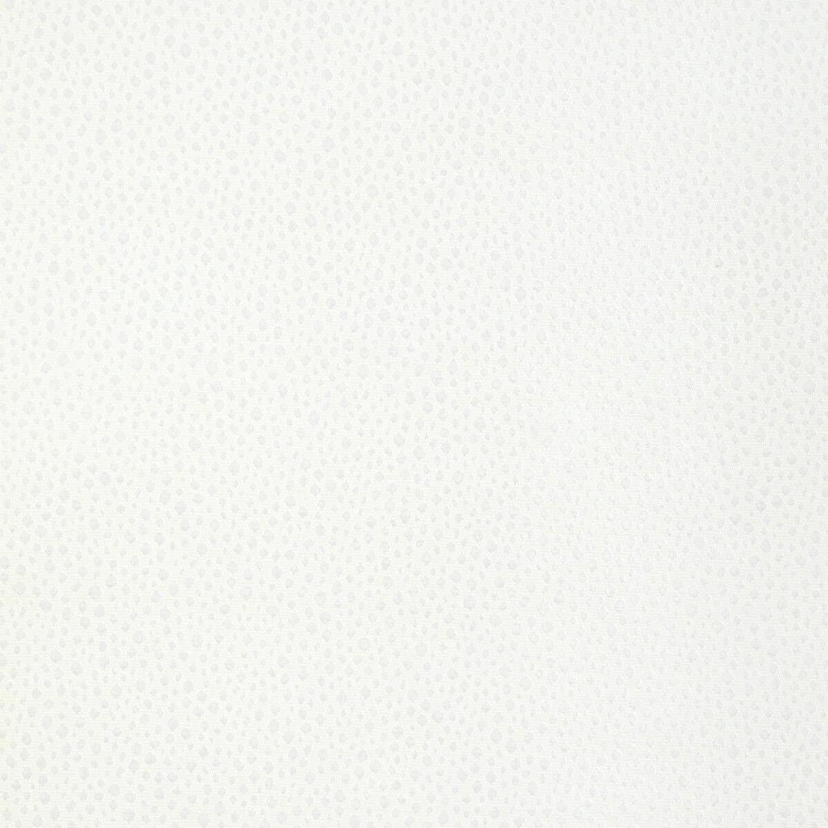 Kravet TIP THE SCALE SNOW Fabric