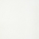Kravet TIP THE SCALE SNOW Upholstery Fabric