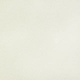 Kravet TIP THE SCALE EGGSHELL Upholstery Fabric