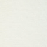 Kravet SANDSTORM CRYSTAL Upholstery Fabric
