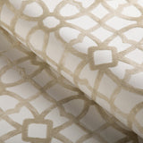 Kravet NEW ZUMA DOVE Upholstery Fabric