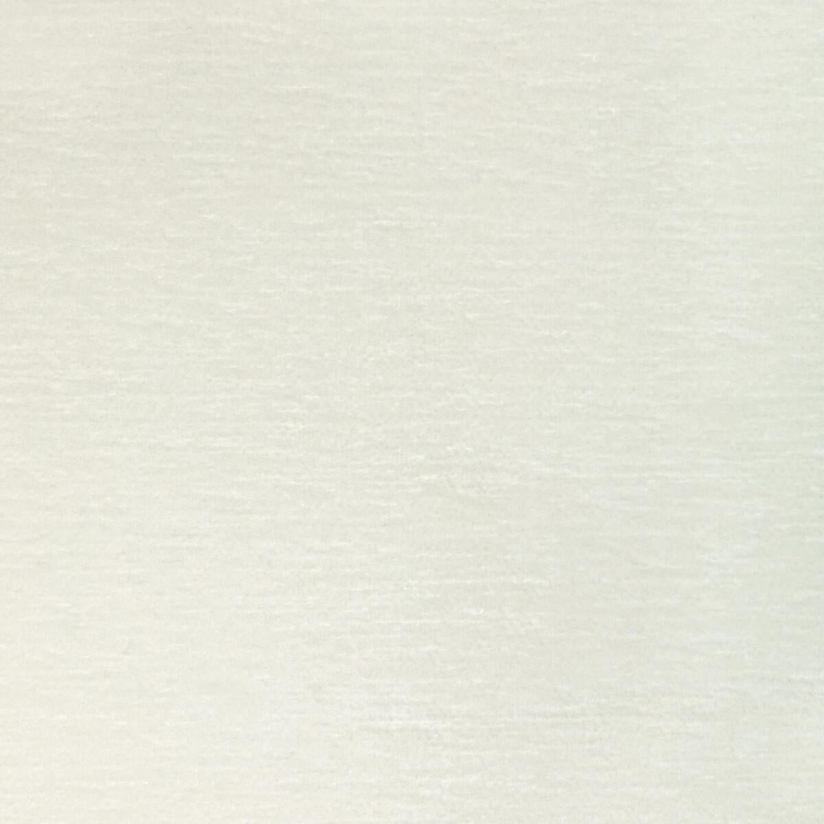Kravet PUPPY LOVE SNOW Fabric