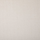 Kravet GRACEFUL MOVES SNOW Upholstery Fabric