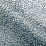 Kravet BALANCING ACT HORIZON Upholstery Fabric