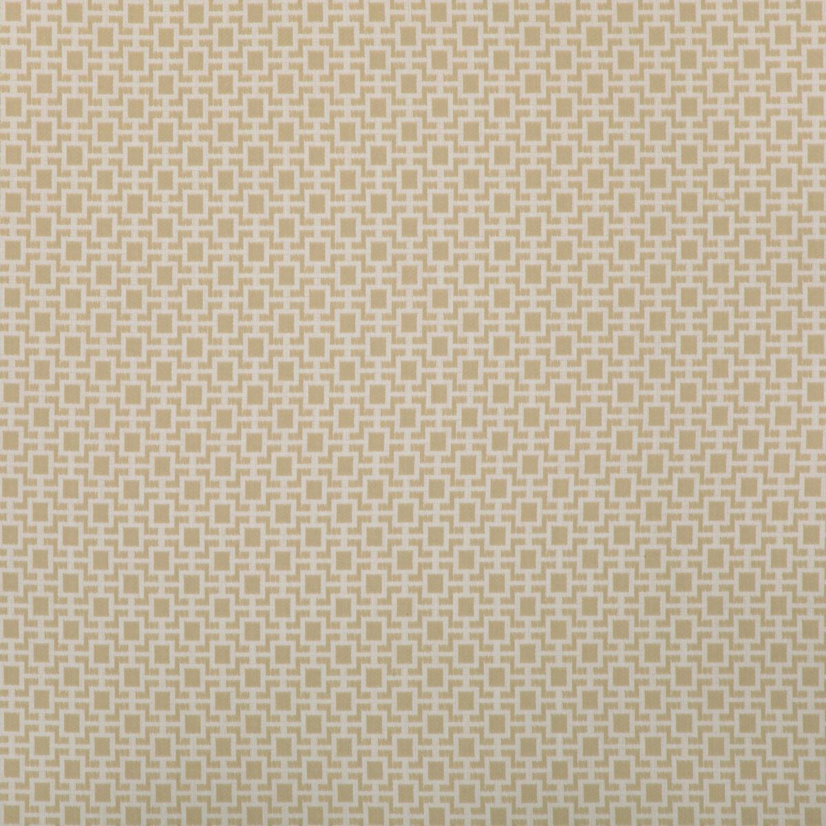 Kravet 36875 36875-116 Fabric