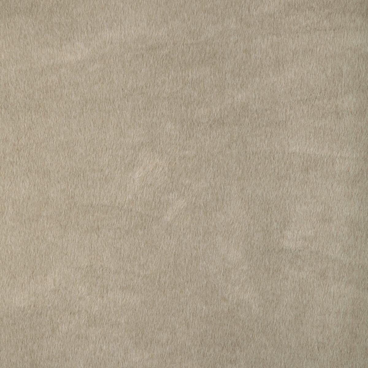 Kravet 36897 36897-16 Fabric