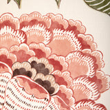 Brunschwig & Fils LAURIS PRINT APRICOT/SAGE Fabric