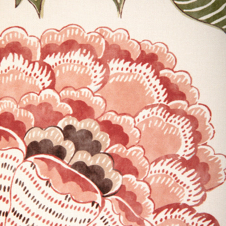 Brunschwig & Fils LAURIS PRINT APRICOT/SAGE Fabric