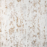 Kravet BIG BANG METALLIC Fabric