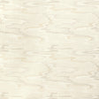 Kravet DREAMLAND OYSTER Fabric