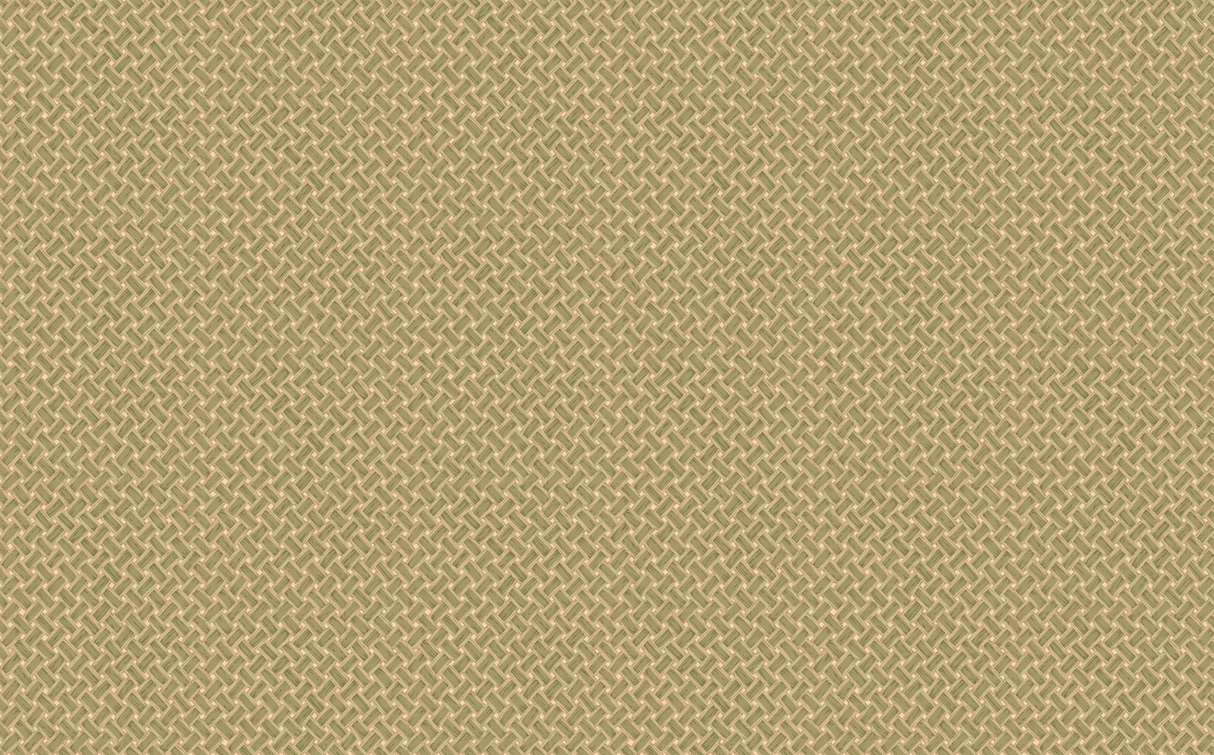 Mulberry BASKETWEAVE MOSS Wallpaper