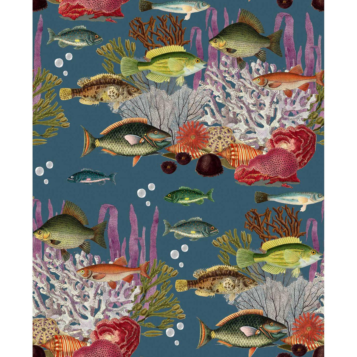 Gaston Y Daniela CORALES AZULOSCURO Wallpaper