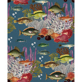 Gaston Y Daniela CORALES AZULOSCURO Wallpaper