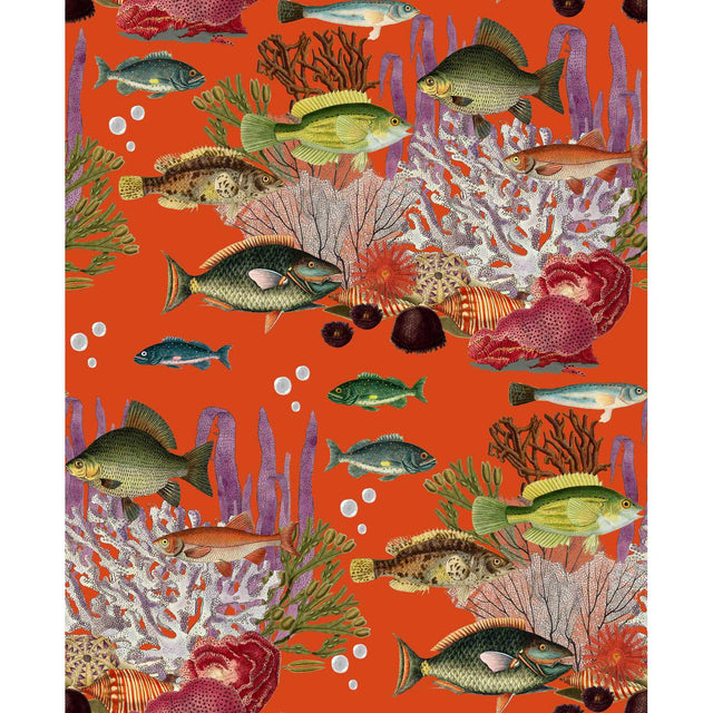 Gaston Y Daniela CORALES QUISQUILLA Wallpaper