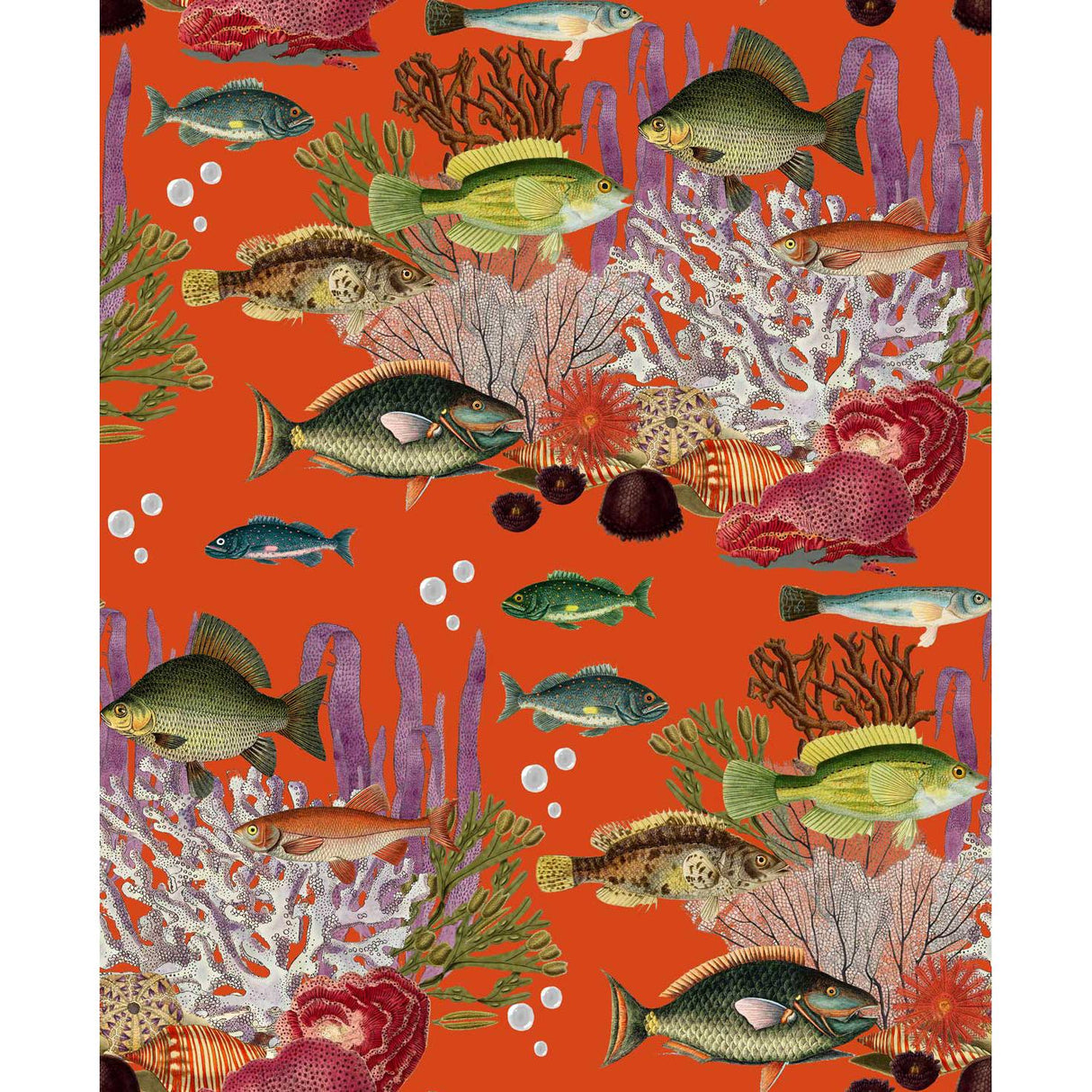 Gaston Y Daniela CORALES QUISQUILLA Wallpaper