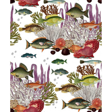 Gaston Y Daniela CORALES BLANCO Wallpaper