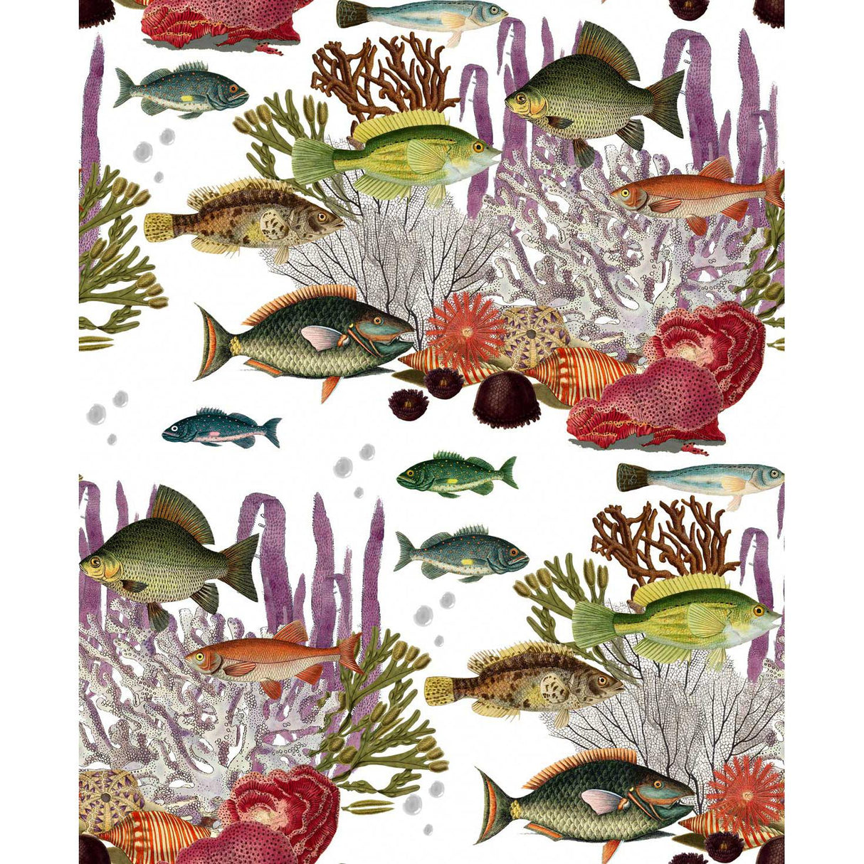 Gaston Y Daniela CORALES BLANCO Wallpaper