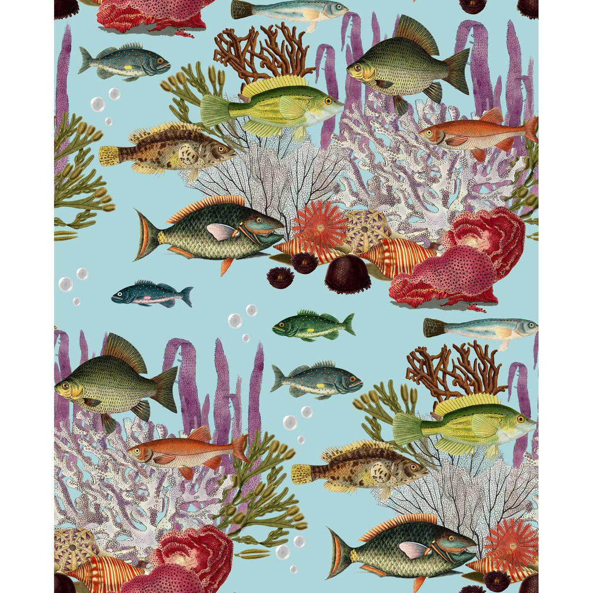 Gaston Y Daniela CORALES AGUA Wallpaper