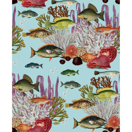 Gaston Y Daniela CORALES AGUA Wallpaper