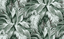 Gaston Y Daniela PANAMERICANA VERDE/MARRON Wallpaper