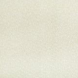 Lee Jofa SERRA EGGSHELL Upholstery Fabric