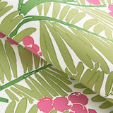 Brunschwig & Fils PALMAR SPRING Wallpaper