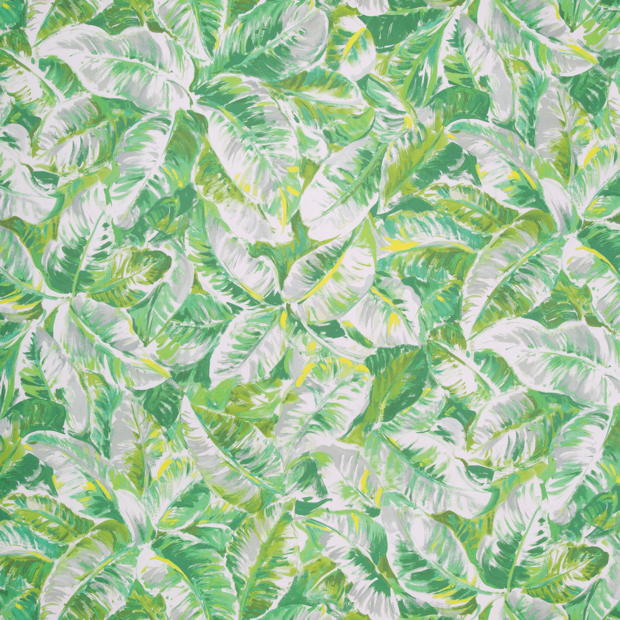 Brunschwig & Fils DIANI LEAF Wallpaper