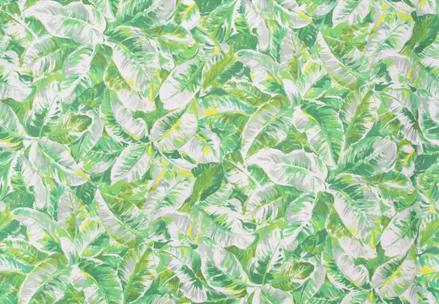 Brunschwig & Fils DIANI LEAF Wallpaper