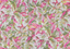Brunschwig & Fils DIANI SPRING Wallpaper