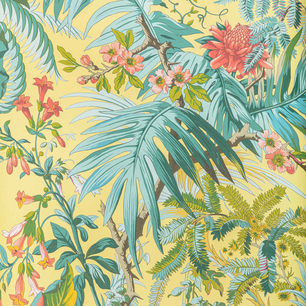 Brunschwig & Fils MAJORELLE SUN Wallpaper